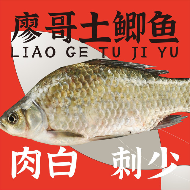 廖哥土鲫鱼,深圳设计公司,深圳餐饮设计,深圳餐饮策划,深圳餐饮vi设计 廖哥土鲫鱼,深圳设计公司,深圳餐饮设计,深圳餐饮策划,深圳餐饮vi设计